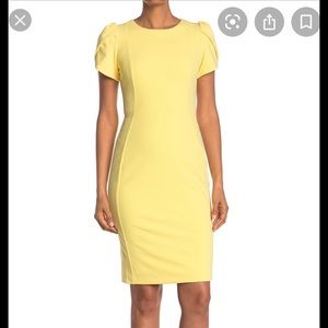 Calvin Klein Tulip Sleeve Sheath Dress